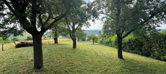  قطعة أرض في Esslingen, Germany رقم 243830 12