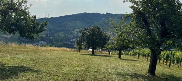  قطعة أرض في Esslingen, Germany رقم 243830 5