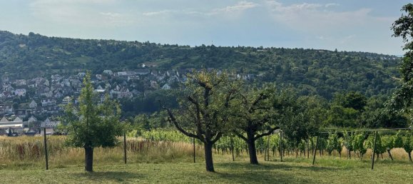  قطعة أرض في Esslingen, Germany رقم 243830 6