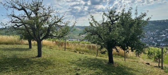  قطعة أرض في Esslingen, Germany رقم 243830 7