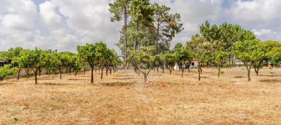 5 Schlafzimmer Haus in Quinta do Conde, Portugal, Nr. 256876 43