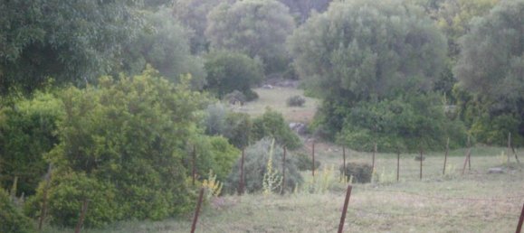  Land in Gaucin, Spain No. 83286 10
