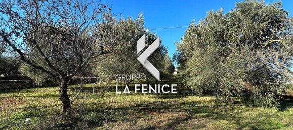 3غرفة منزل في Locorotondo, Italy رقم 24462 2