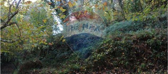 7820m² Land in Louredo, Portugal No. 31122 4