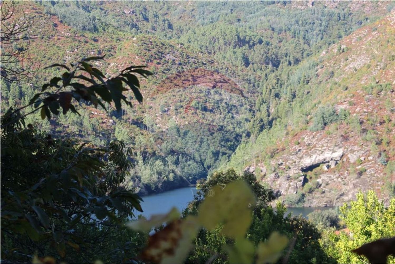 7820m² Land in Louredo, Portugal No. 31122