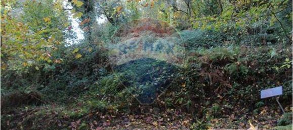 7820m² Land in Louredo, Portugal No. 31122 3