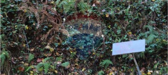 7820m² Land in Louredo, Portugal No. 31122 2