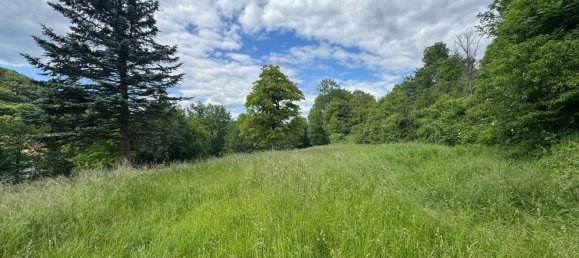  Land in Feldbach, Austria No. 162493 6