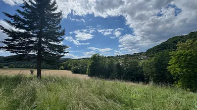  Land in Feldbach, Austria No. 162493