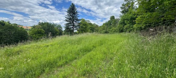  Land in Feldbach, Austria No. 162493 13