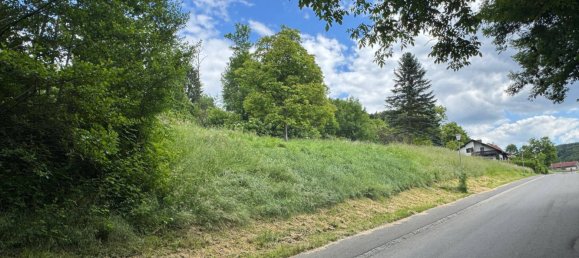  Land in Feldbach, Austria No. 162493 12