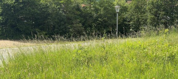  Land in Feldbach, Austria No. 162493 14