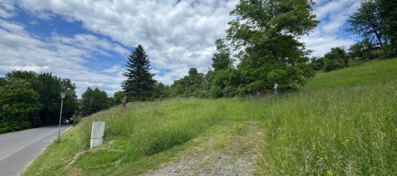  Land in Feldbach, Austria No. 162493 8