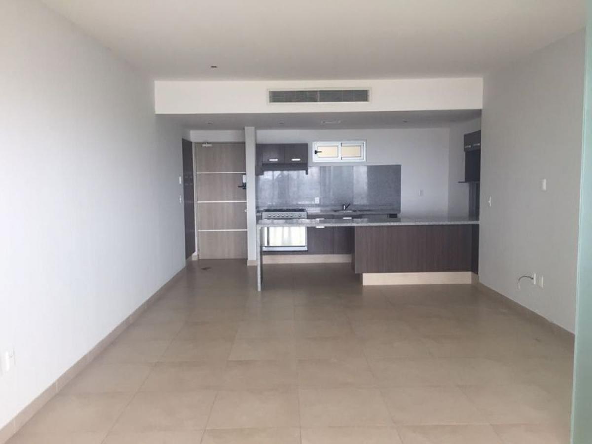 Studio in Mexico No. 180349