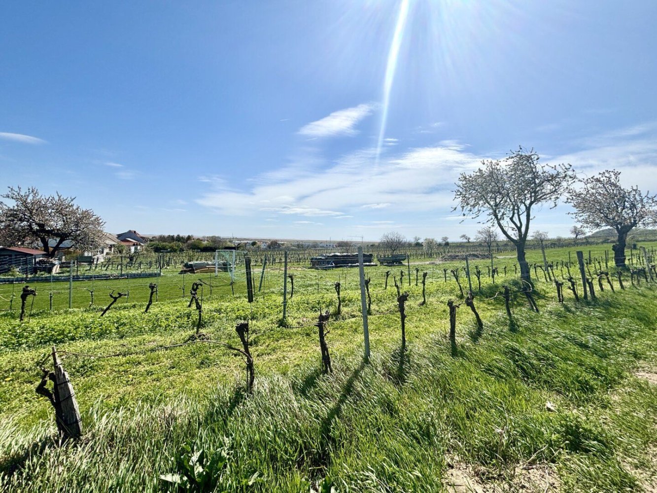Grundstück in Jois, Austria, Nr. 134620