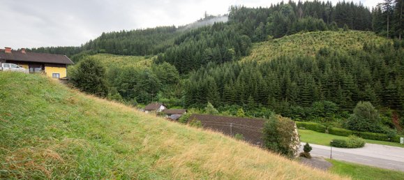  قطعة أرض في Huttenberg, Austria 1001متر مربع رقم 78608 4