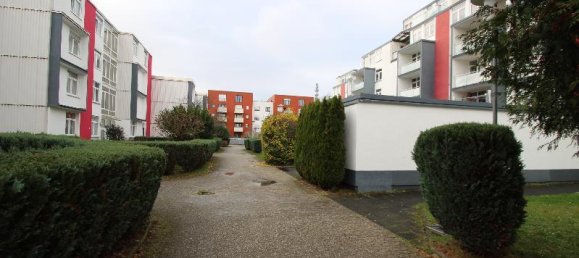 3-Zimmer Wohnung in Bonn, Germany, Nr. 41017 4