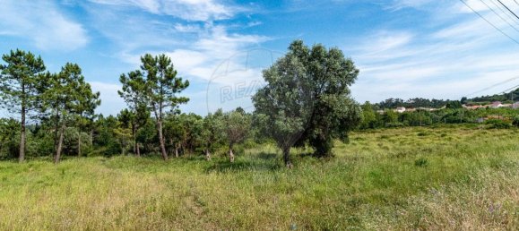  قطعة أرض في Figueira da Foz, Portugal 11835متر مربع رقم 74545 13