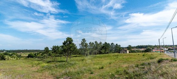  قطعة أرض في Figueira da Foz, Portugal 11835متر مربع رقم 74545 12