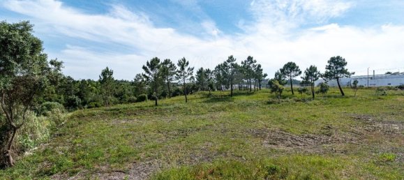  قطعة أرض في Figueira da Foz, Portugal 11835متر مربع رقم 74545 16