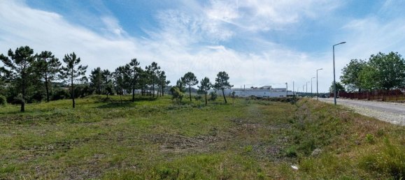  قطعة أرض في Figueira da Foz, Portugal 11835متر مربع رقم 74545 17