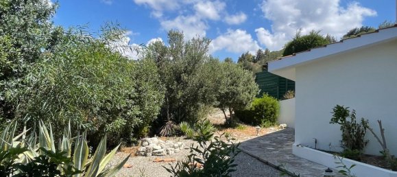 5 bedrooms Villa in Paphos, Cyprus No. 10257 3