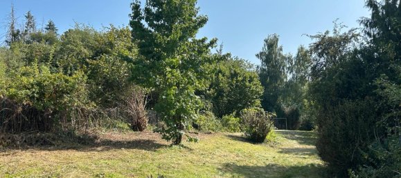 6 غرف نوم منزل في Kusel, Germany رقم 370873 14