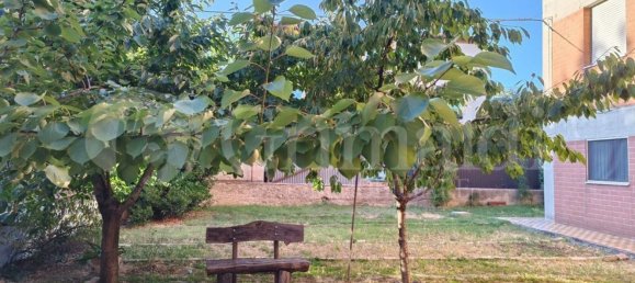 5 rooms Apartment in Monte Roberto, Italy No. 303214 19