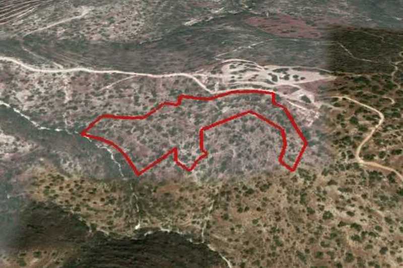 Grundstück in Akrounta, Cyprus, Nr. 10456