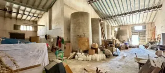 5 bedrooms House in Pinoso, Spain No. 190060 16