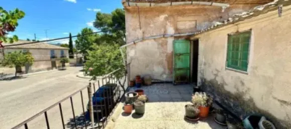 5 bedrooms House in Pinoso, Spain No. 190060 4