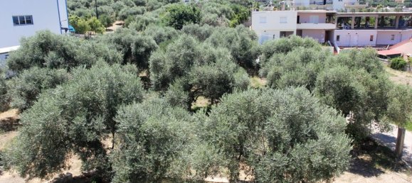 5 bedrooms Commercial property in Chania, Greece No. 7086 27