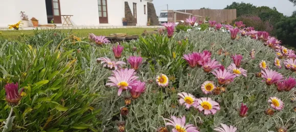 9 غرف نوم منزل في Bordeira, Portugal رقم 99456 8