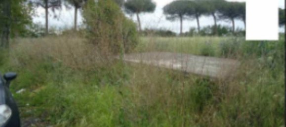 8630m² Land in Orta di Atella, Italy No. 376742 16