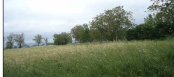 8630m² Land in Orta di Atella, Italy No. 376742 5