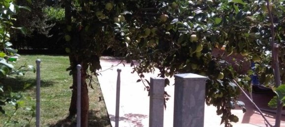 5 rooms House in Tuoro sul Trasimeno, Italy No. 255831 3