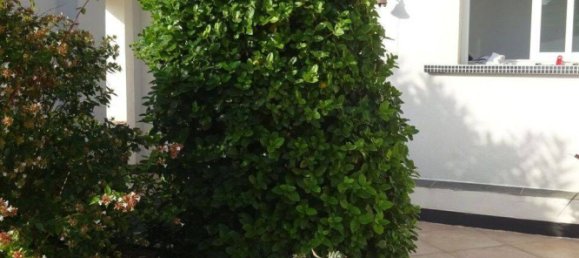 Villa de 1 dormitorio en La Cadiere-d'Azur, France No. 327611 8