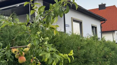 2 bedrooms Bungalow in Ternitz, Austria No. 251587