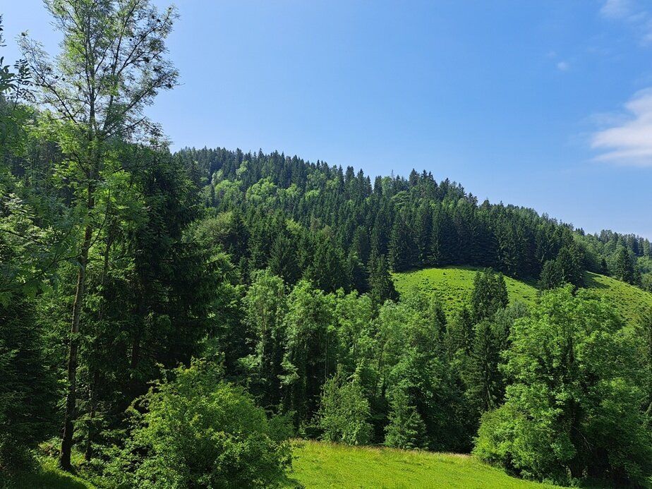 Gewerbliche Immobilie in Kainach bei Voitsberg, Austria, Nr. 131304