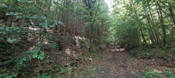 Gewerbliche Immobilie in Kainach bei Voitsberg, Austria, Nr. 131304 4