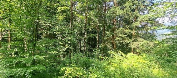 Gewerbliche Immobilie in Kainach bei Voitsberg, Austria, Nr. 131304 3