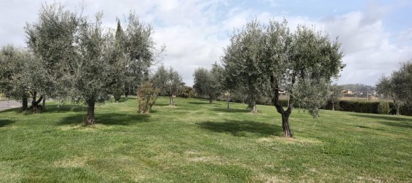 33 rooms Villa in Montecarlo, Italy No. 51016 24