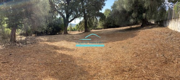 Grundstück in Cervione, France, Nr. 90484 2