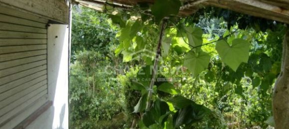 9 Schlafzimmer Haus in Senhora da Hora, Portugal, Nr. 58962 4