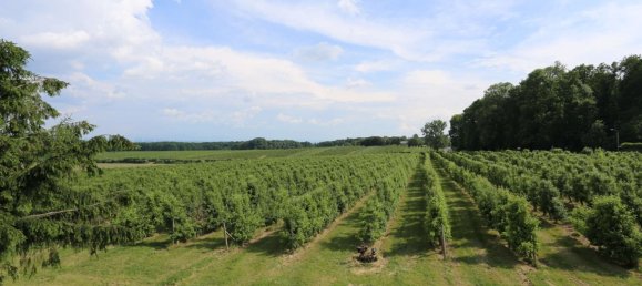 Adosado de 4 dormitorios en Gorlitz, Germany No. 327027 7