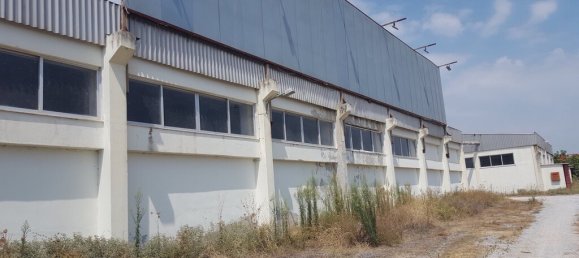 6000m² Maisonette in Chalkidiki, Greece No. 3633 4