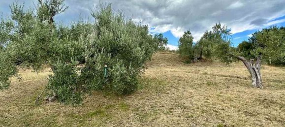 Casa T2 em Roccastrada, Italy N.º 257805 15