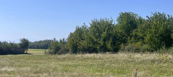 Terrain à Zillingdorf, Austria No. 220952 2