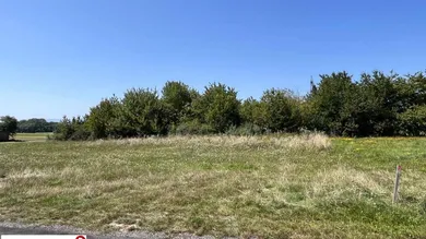 Terrain à Zillingdorf, Austria No. 220952