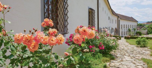 18-salle Châteaux à St. Leonhard am Forst, Austria No. 249788 3